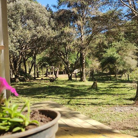 Sitio Flor Da Montanha Villa São Bento do Sapucaí Dış mekan fotoğraf