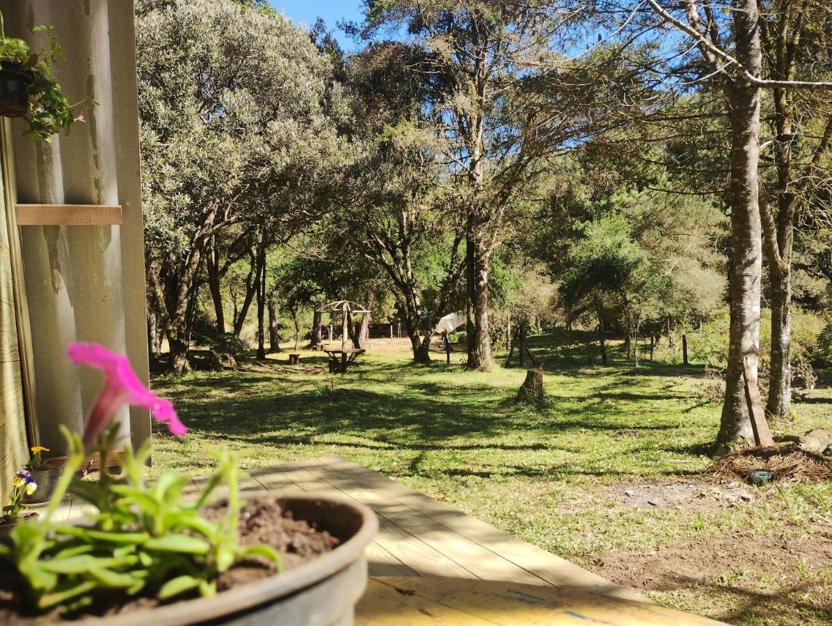 Sitio Flor Da Montanha Villa São Bento do Sapucaí Dış mekan fotoğraf